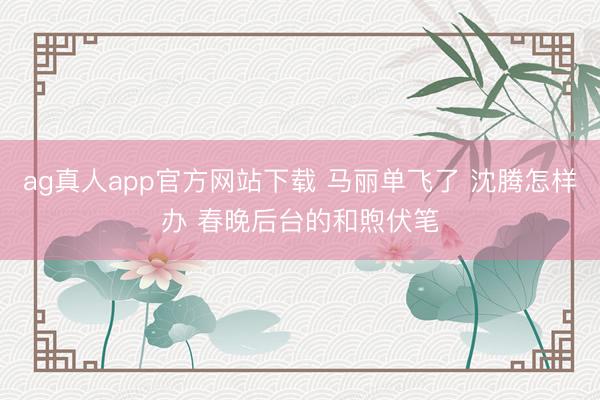 ag真人app官方网站下载 马丽单飞了 沈腾怎样办 春晚后台的和煦伏笔